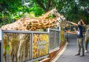 Mengintip Pengalaman Animal Feeding di Batu Secret Zoo, Edukasi Satwa dengan Cara Berbeda